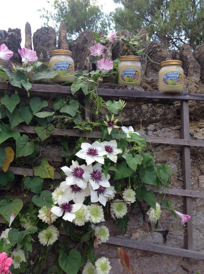 Orchard Cottage, Clematis Cottages, Stamford. Accessible Luxury Home. Εξωτερικό φωτογραφία